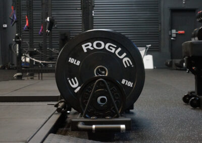 6 elite performance gym weights atlanta